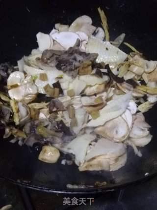 吃瓜菌爆料,揭秘娱乐圈最新热点事件