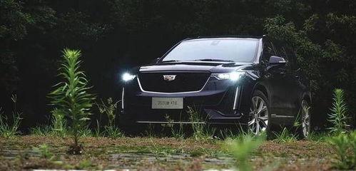 吃瓜爆料凯迪拉克事件,吃瓜群众揭秘豪华车界的风云变幻